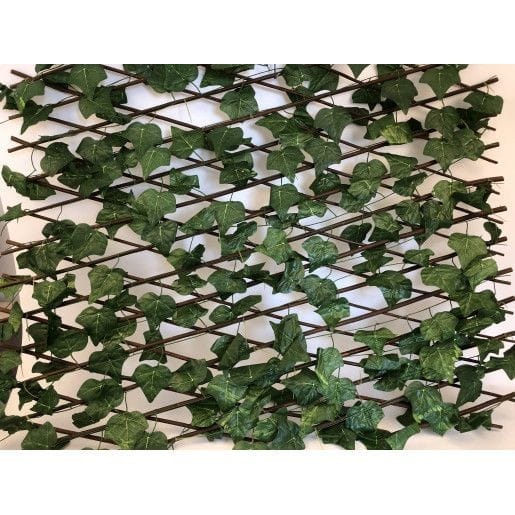 gard-lemn-cu-frunze-iedera