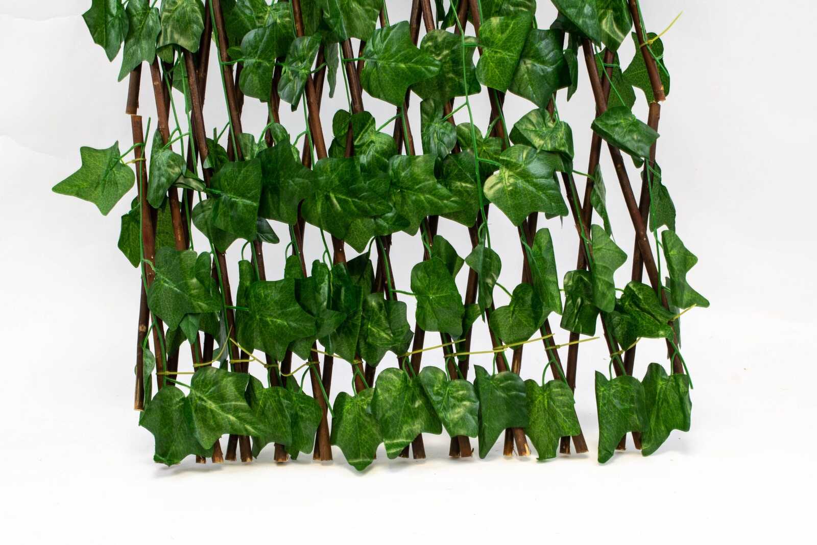 gard-lemn-cu-frunze-iedera