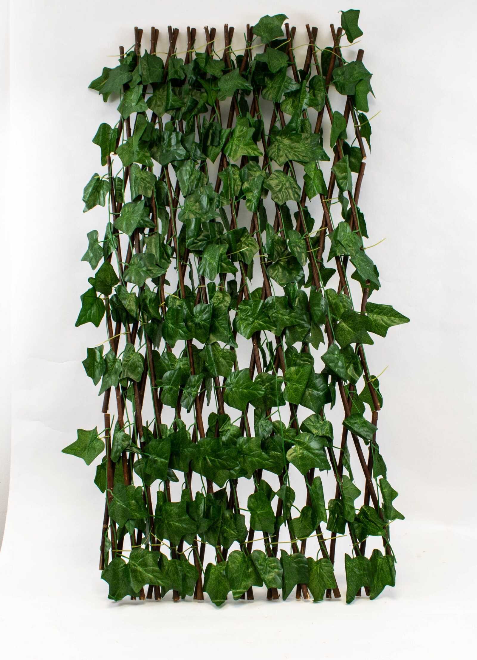 gard-lemn-cu-frunze-iedera