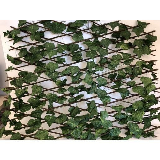 gard-lemn-cu-frunze-iedera