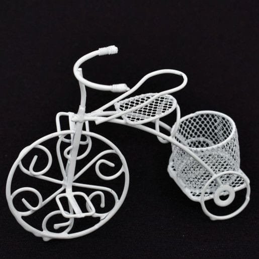 bicicleta-sarma-cos-mic