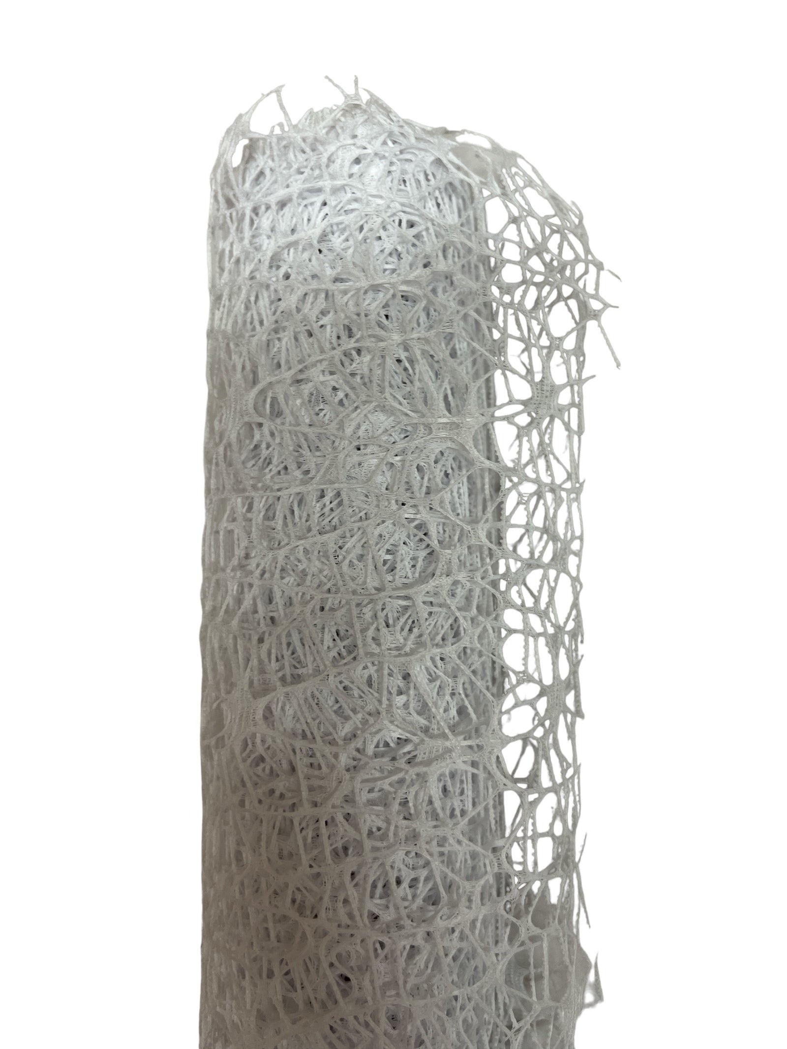 Photoroom_20240703_113428 2