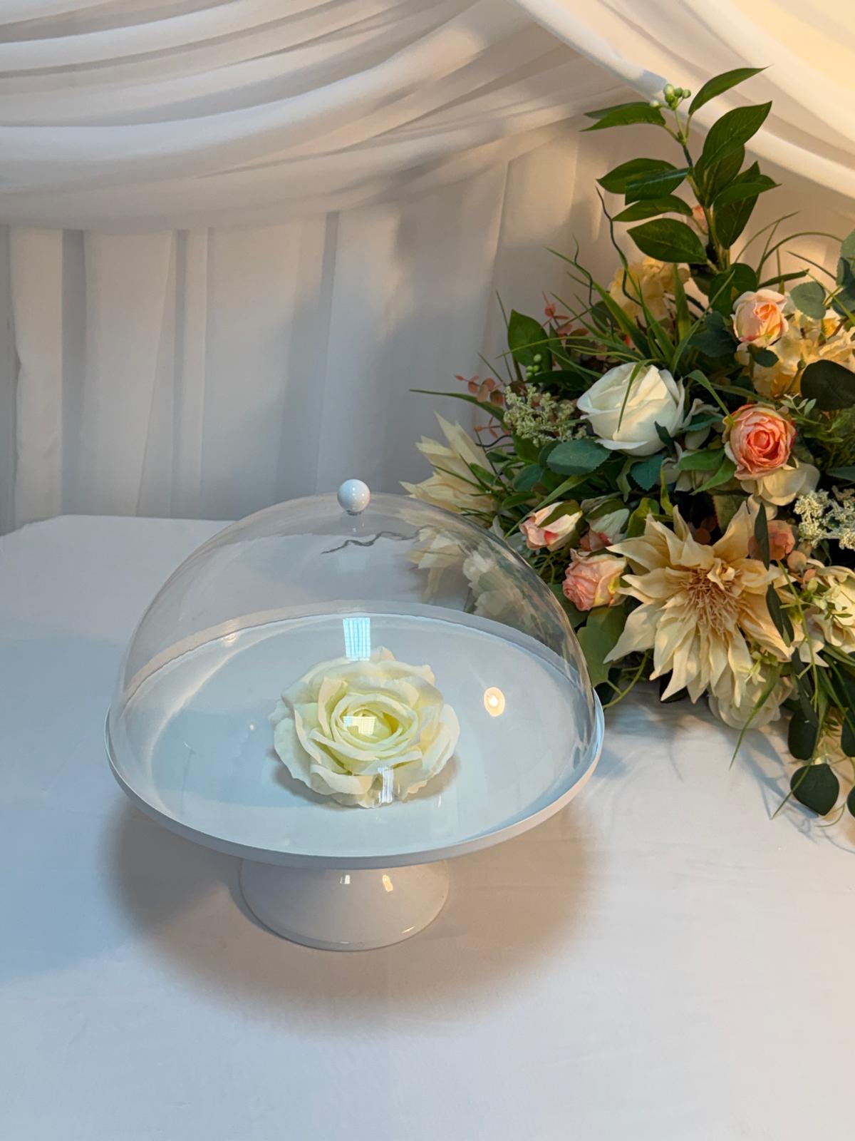 Platou Prajituri Cu Capac Acril