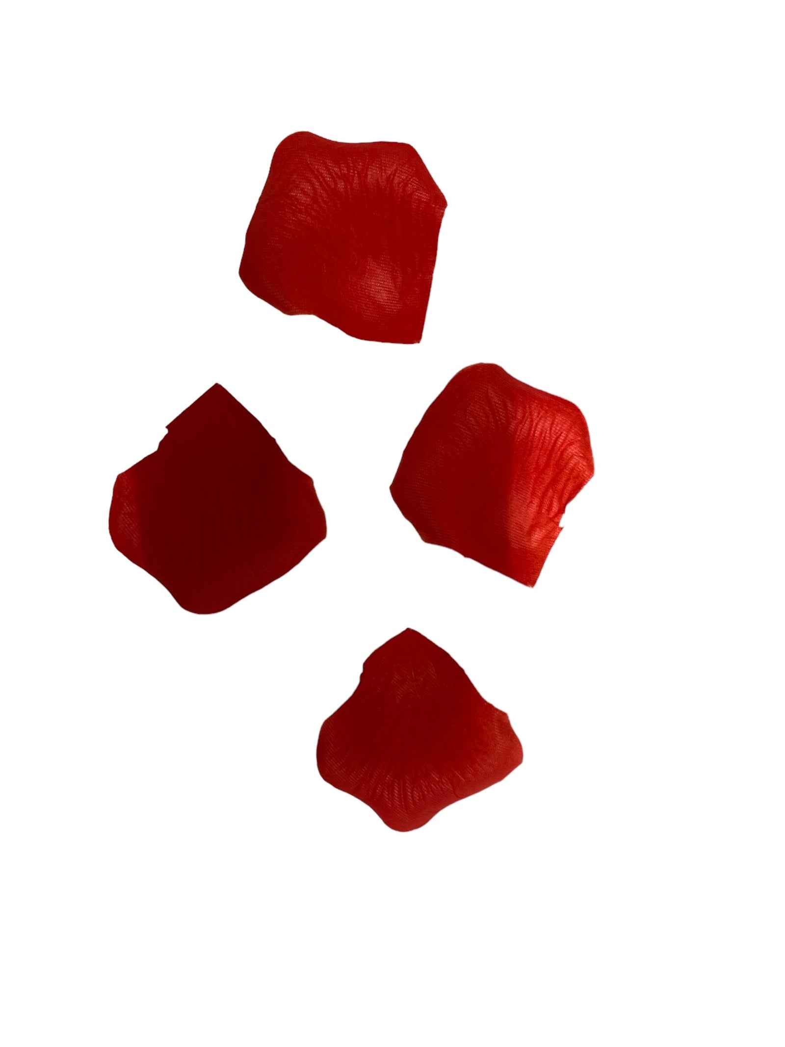 Photoroom_20240702_130417