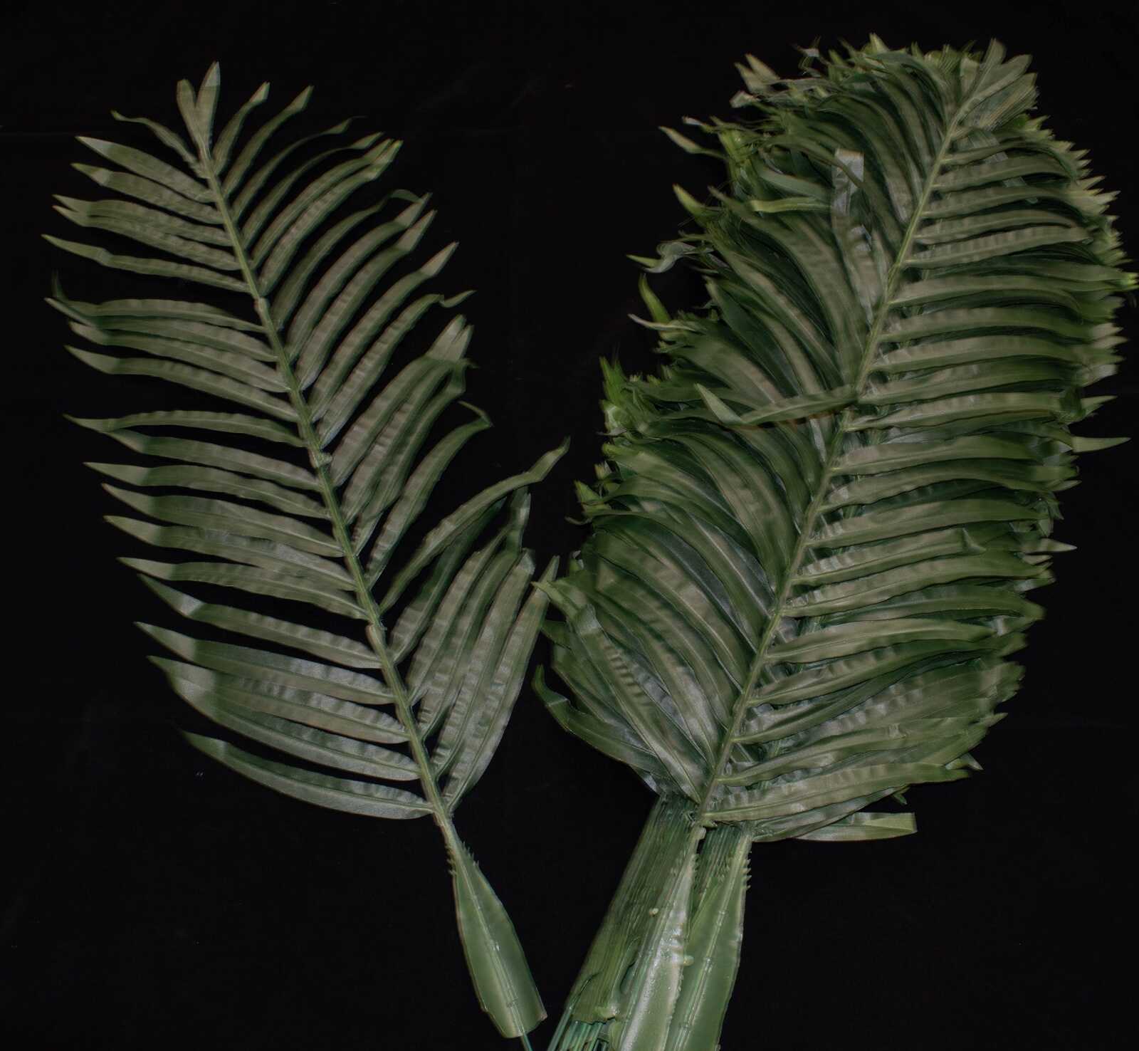 frunza-palmier-100cm