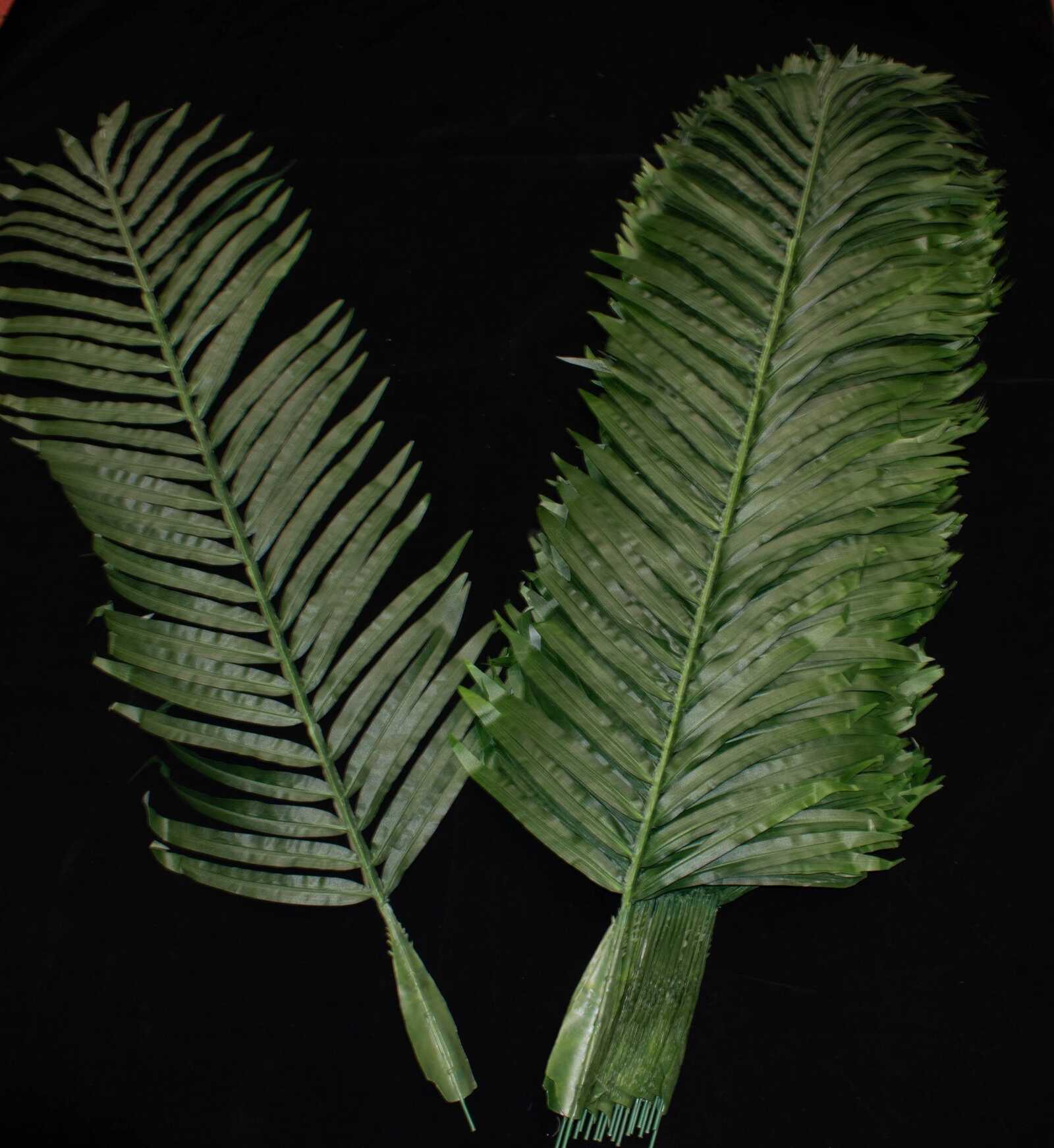 frunza-palmier-120cm