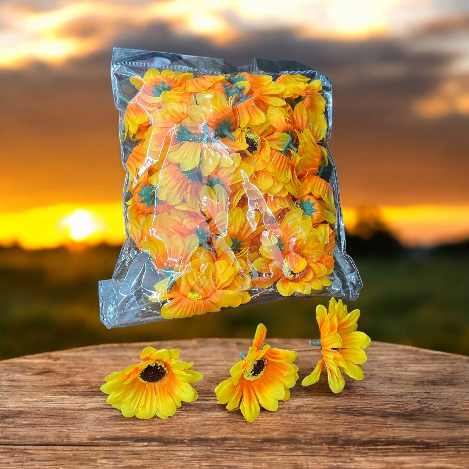 Photoroom_20240820_145239