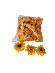 Photoroom_20240820_145258