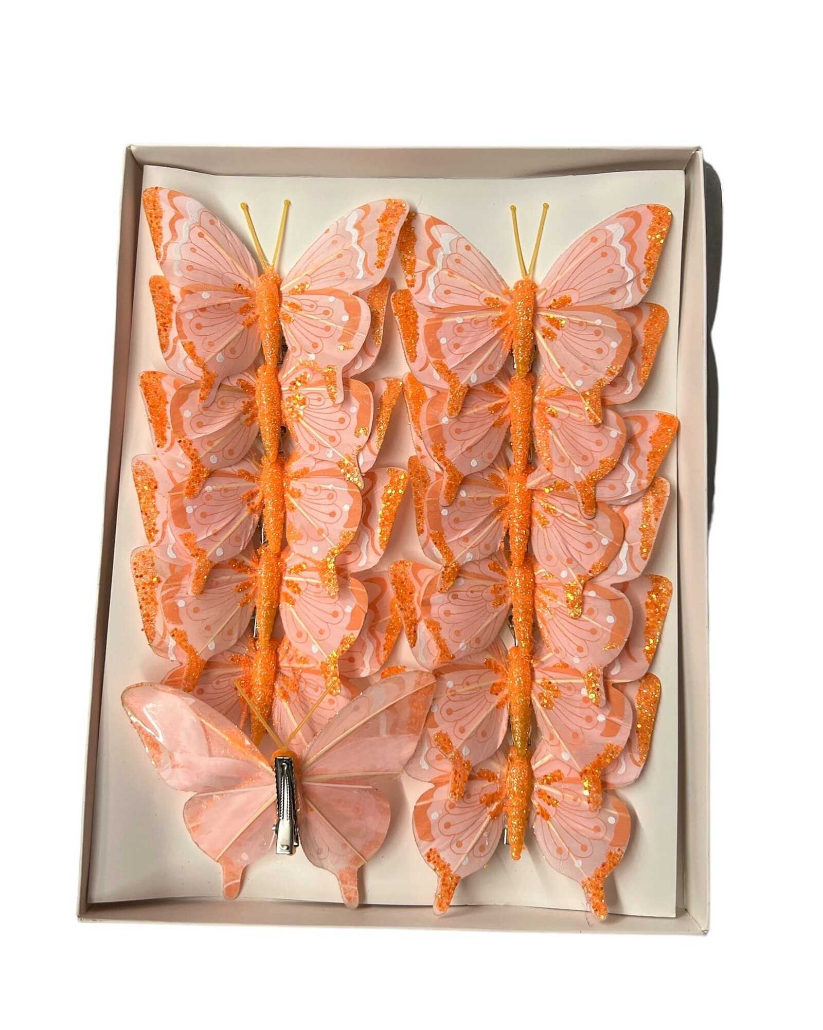 fluturi-pene-striatii-12set-portocaliu