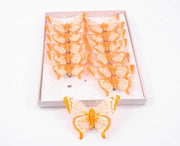 fluturi-pene-striatii-12set-portocaliu