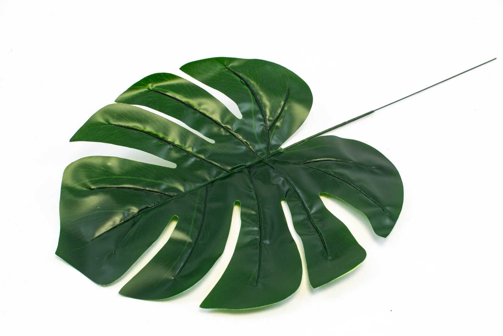 frunze-filodendron-12set-30cm