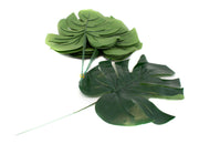 frunze-filodendron-12set-30cm