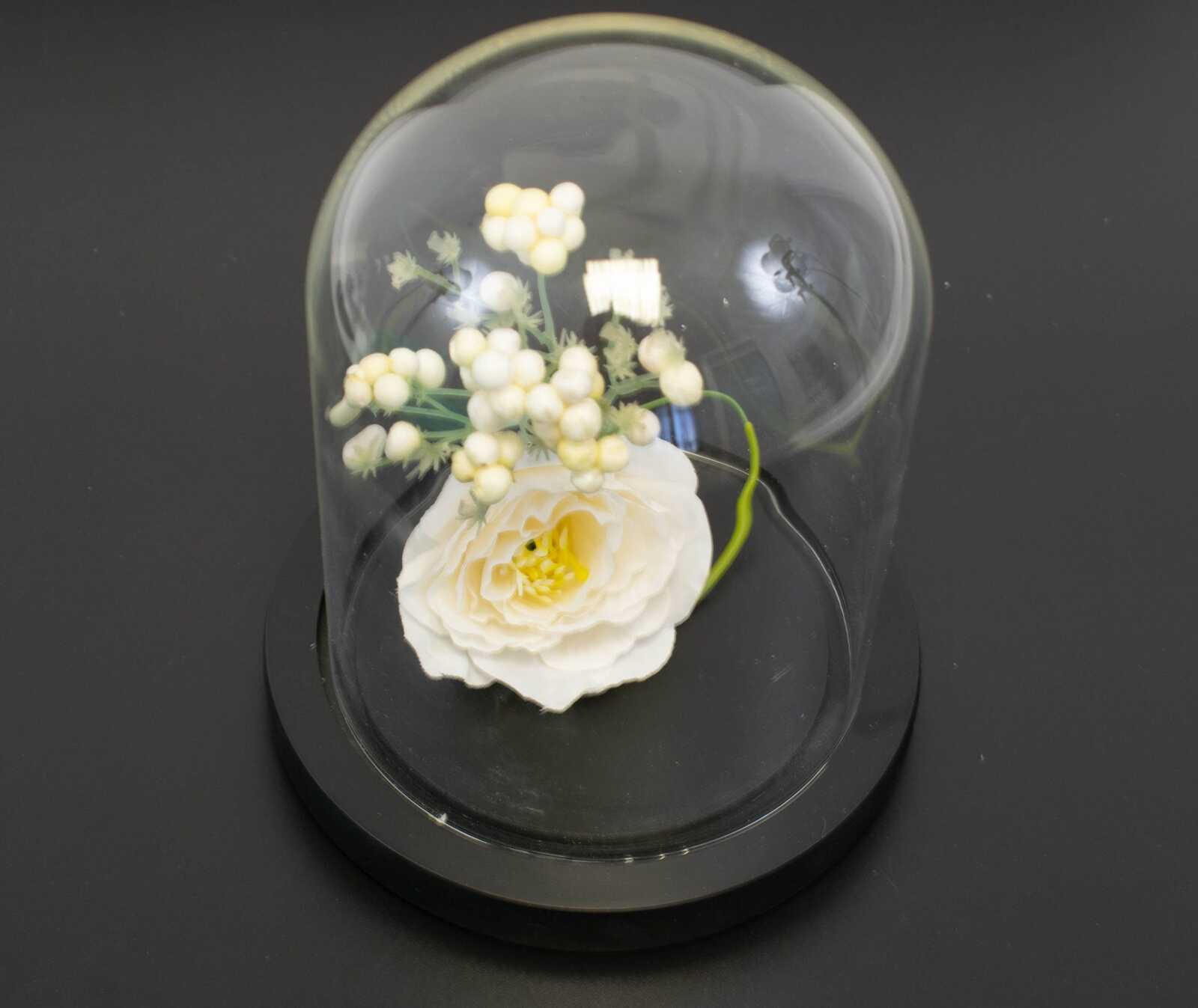 cupole-sticla-suport-lemn-negru-10cm-h13cm