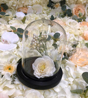 cupole-sticla-suport-lemn-negru-10cm-h13cm