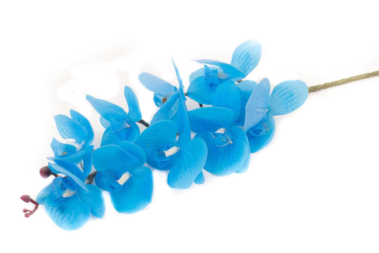 flori-artificiale-orhidee-9-flori-bleo