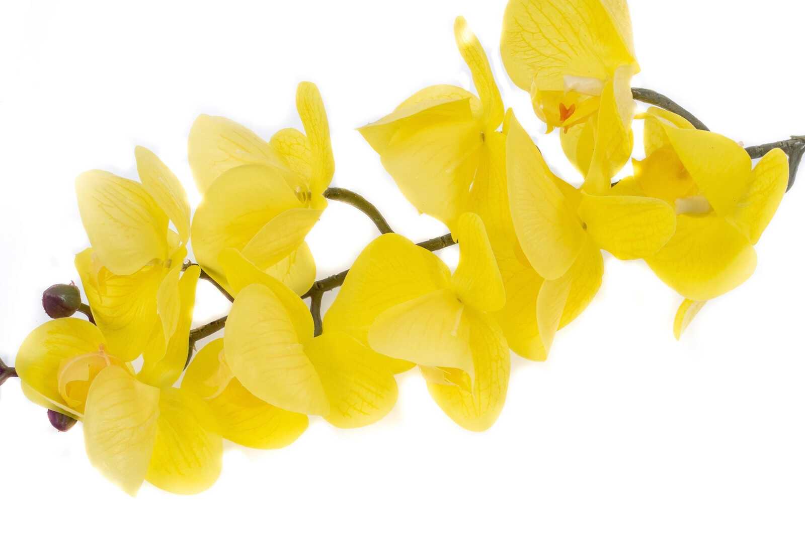 flori-artificiale-orhidee-9-flori-galben