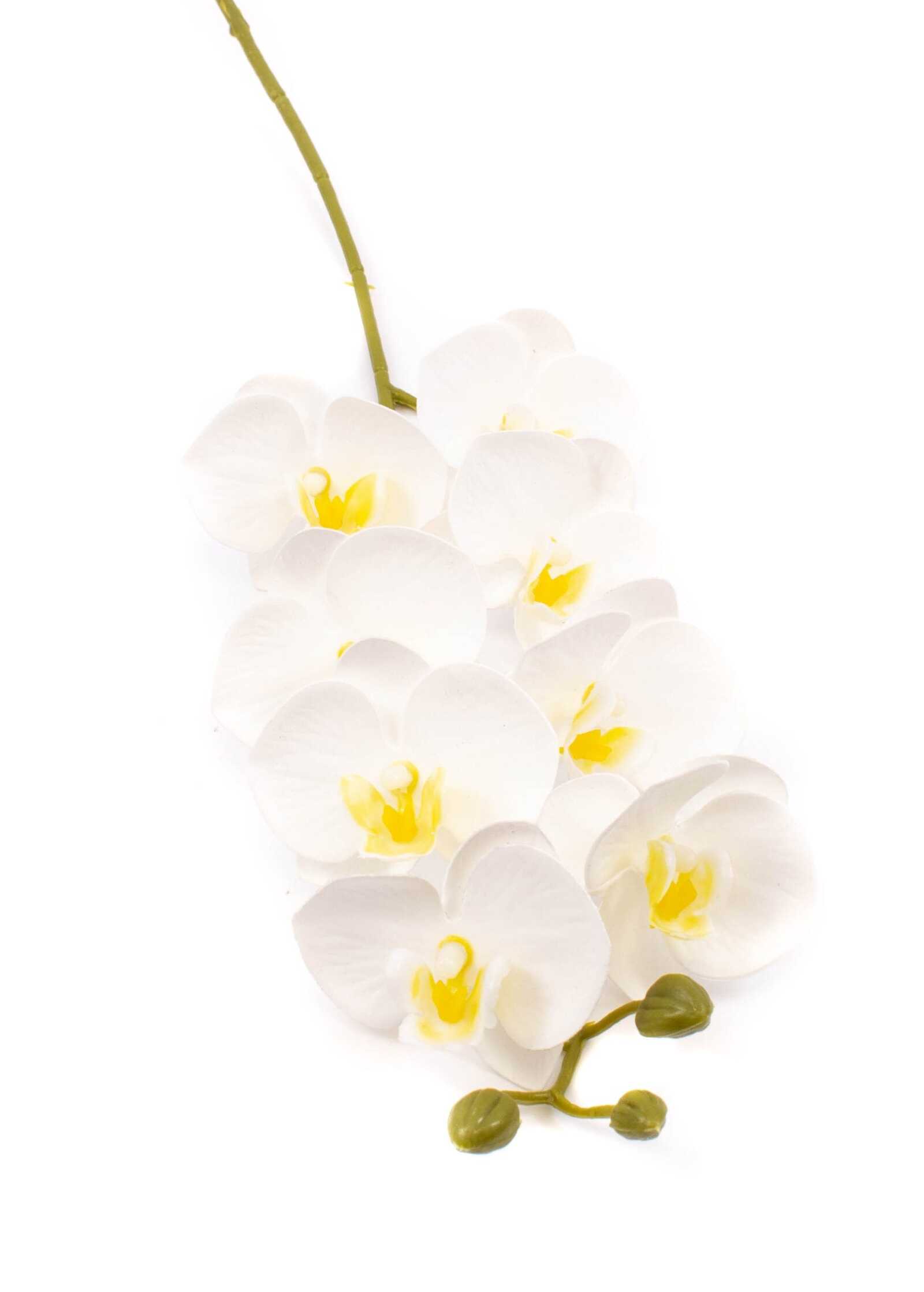 flori-artificiale-orhidee-8-flori-alb