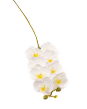 flori-artificiale-orhidee-8-flori-alb