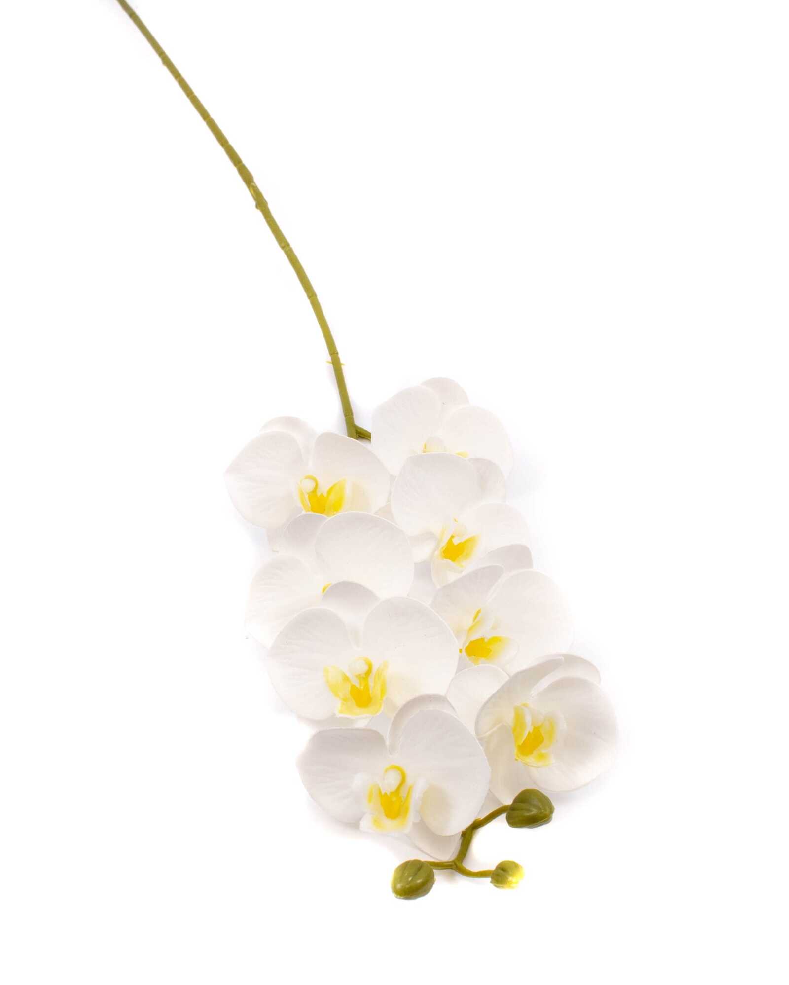 flori-artificiale-orhidee-8-flori-alb