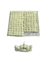 Photoroom_20250616_160237