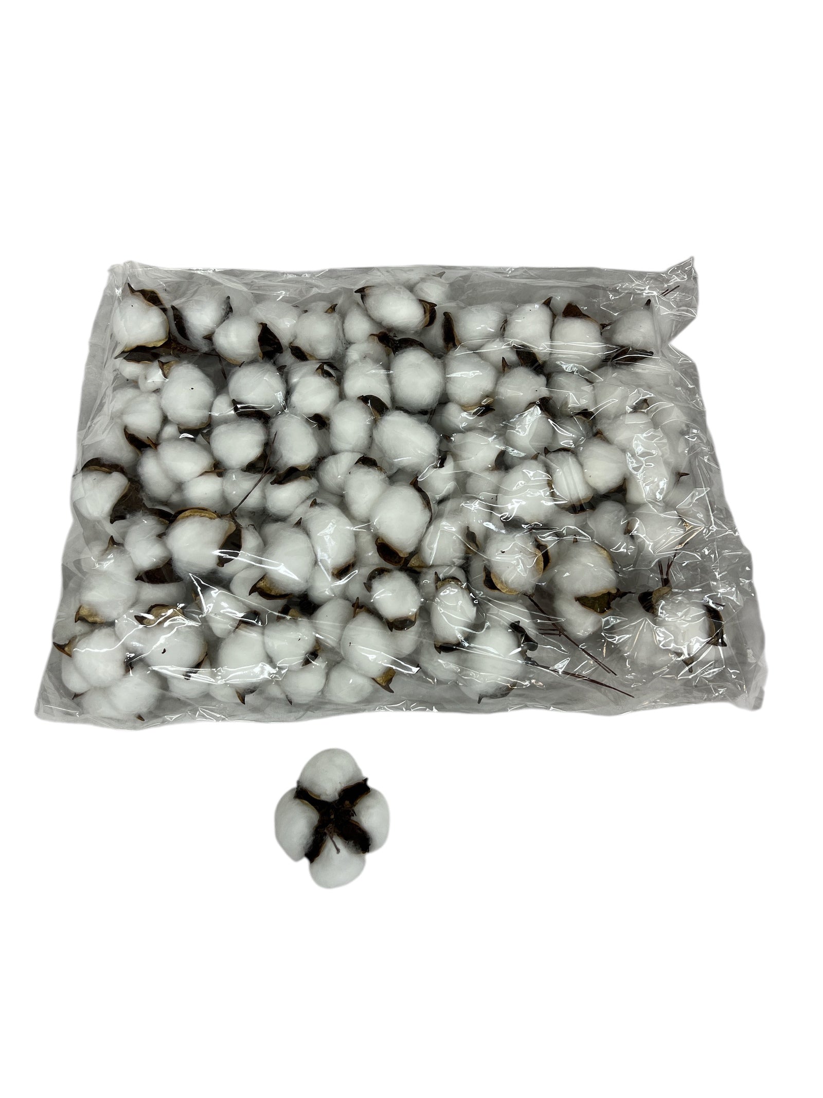 Photoroom_20250612_160911 2