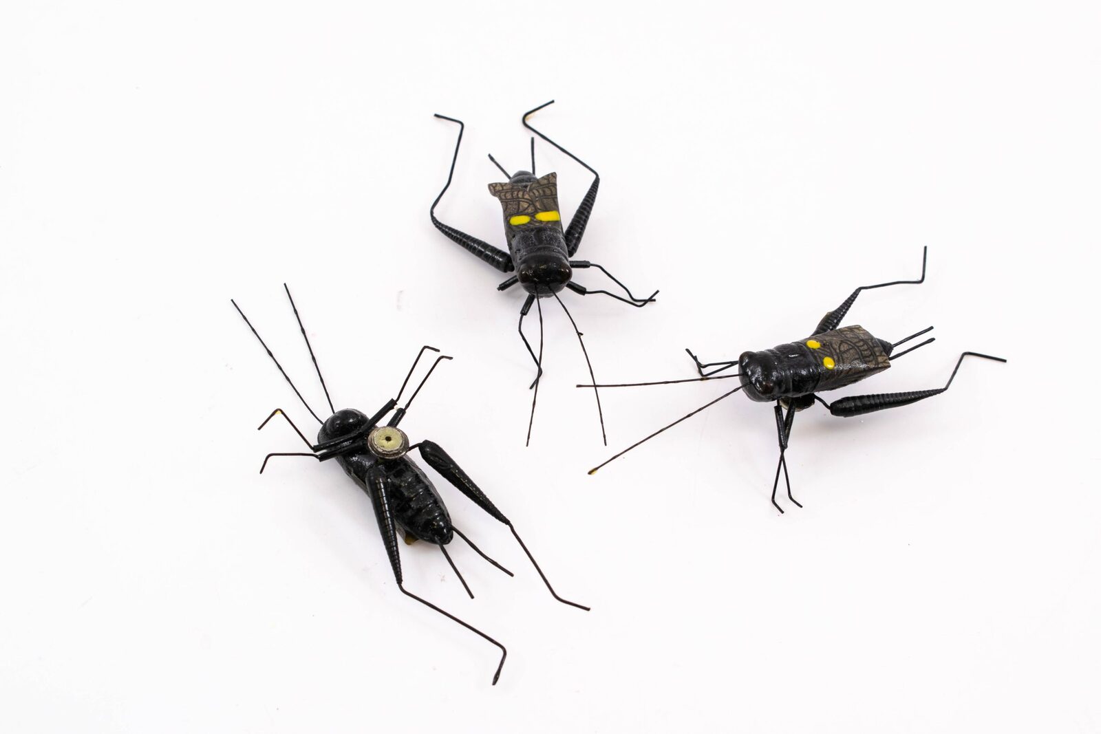 magnet-pentru-frigider-greiere-negru-24set