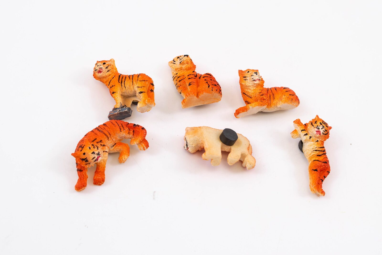 magnet-pentru-frigider-tigru-24set