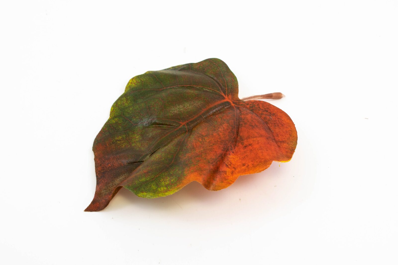 frunze-plop-verde-maro-24set