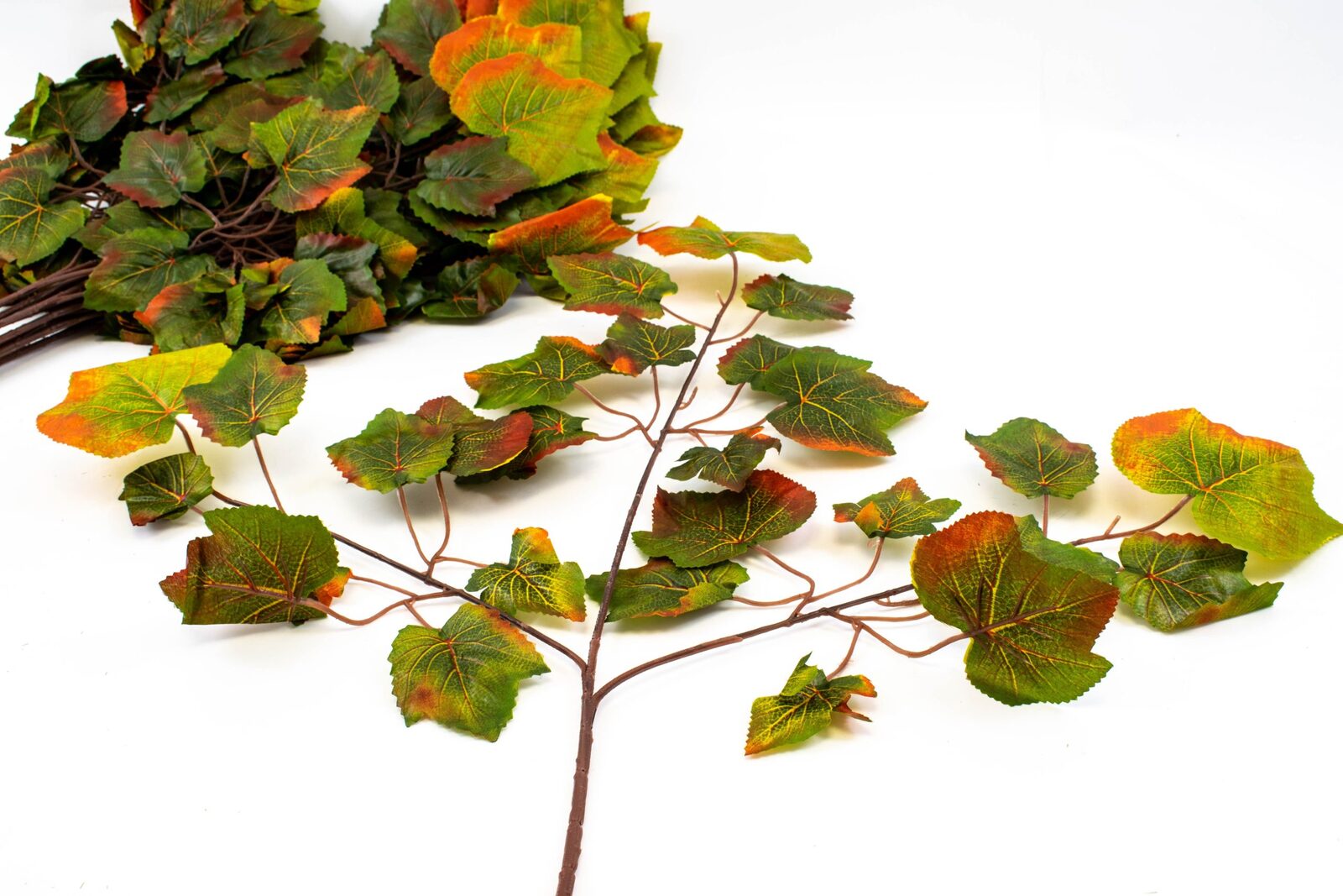 crengi-12set-frunze-vita-verde-galben