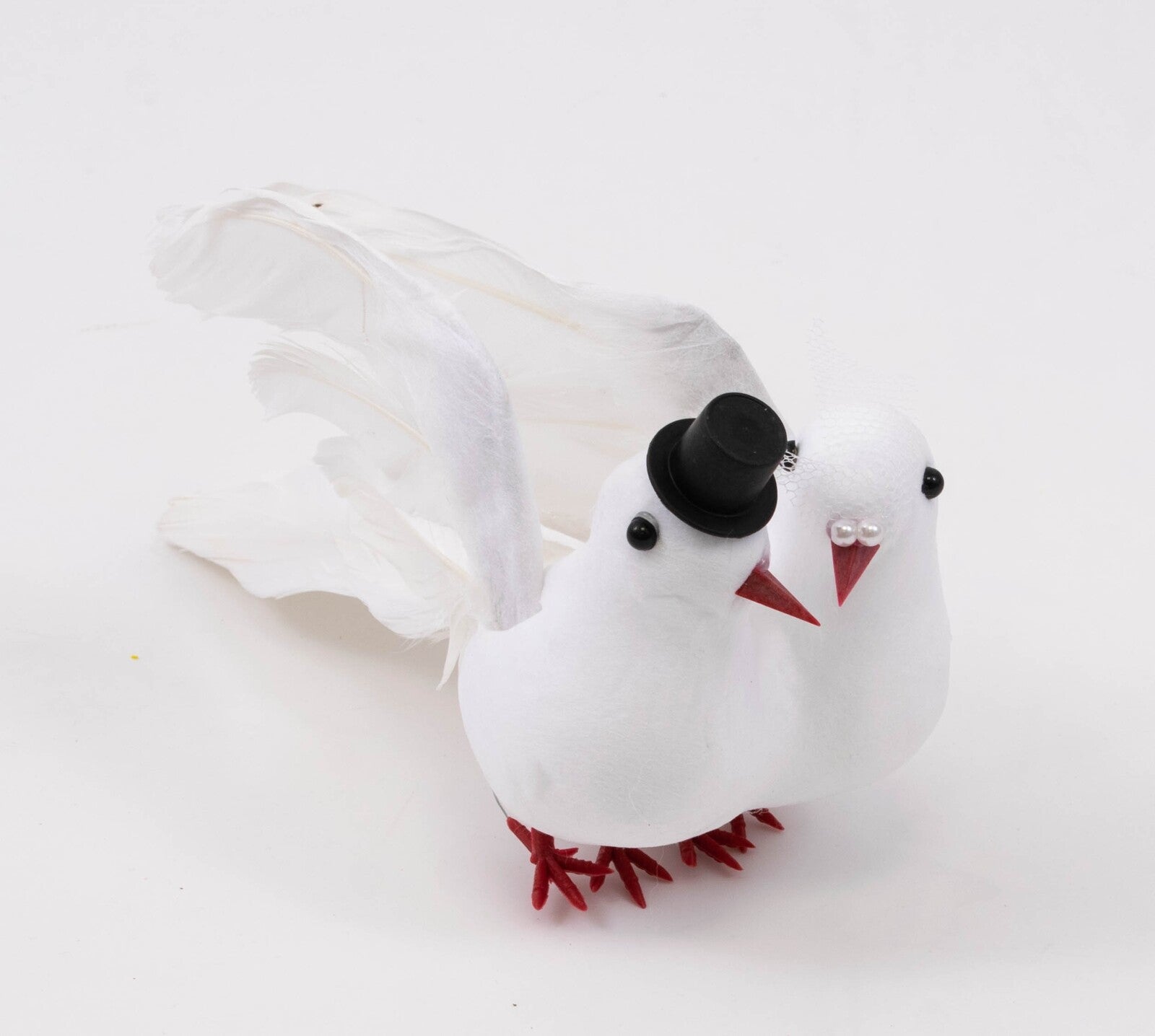 porumbei-pene-mire-si-mireasa