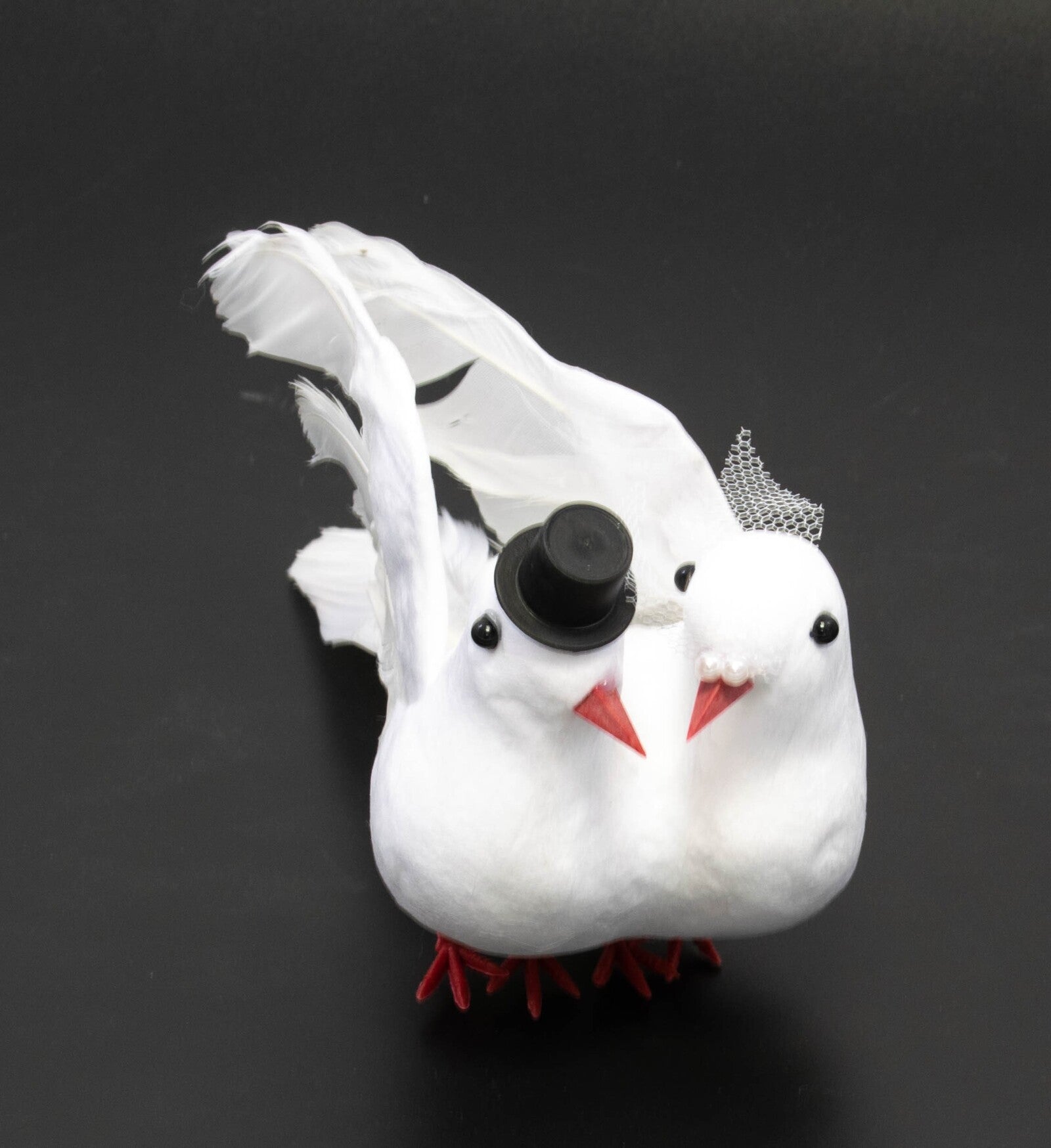 porumbei-pene-mire-si-mireasa