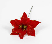 capete-floarea-craciunului-mici-20set-rosu