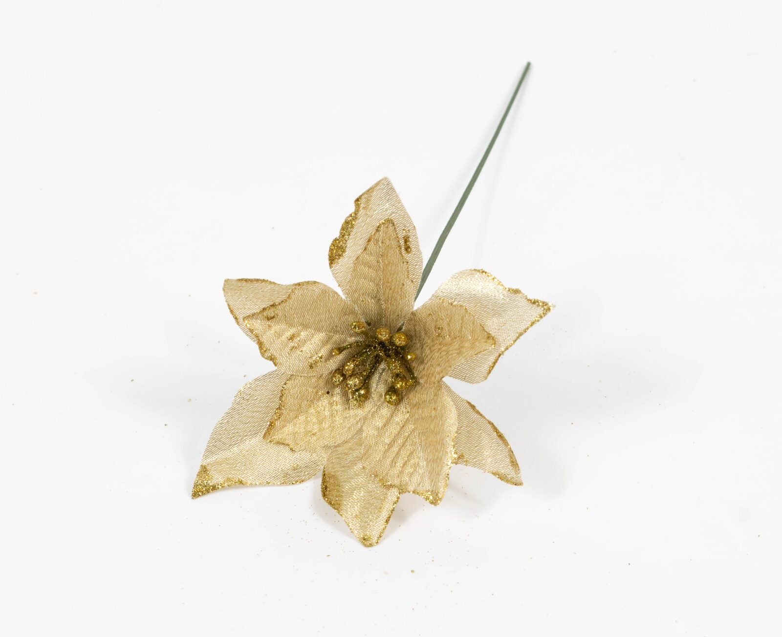 capete-floarea-craciunului-mici-20set-auriu