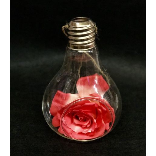 glob-sticla-forma-bec-h18cm