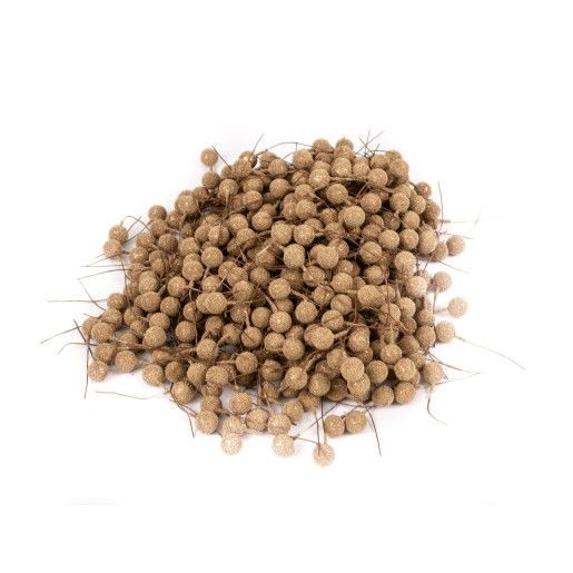 ornament-plastic-bobite-500set-brumate