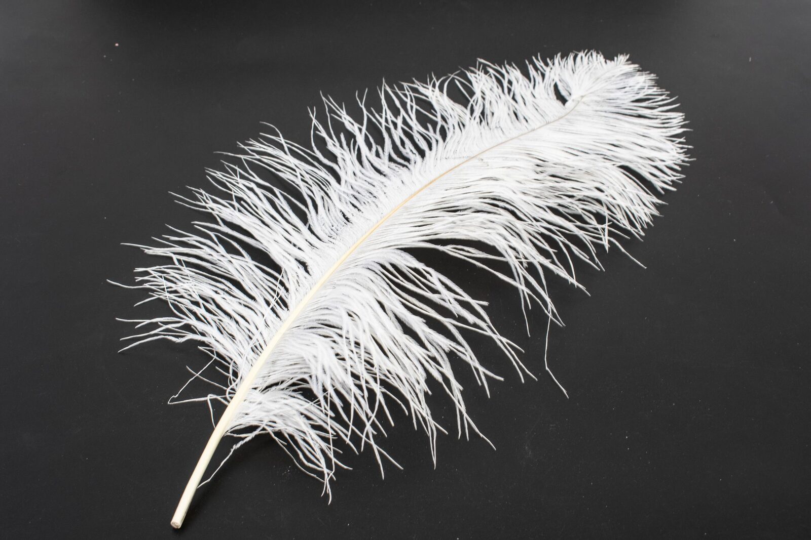 pene-alb-40-45cm-10set