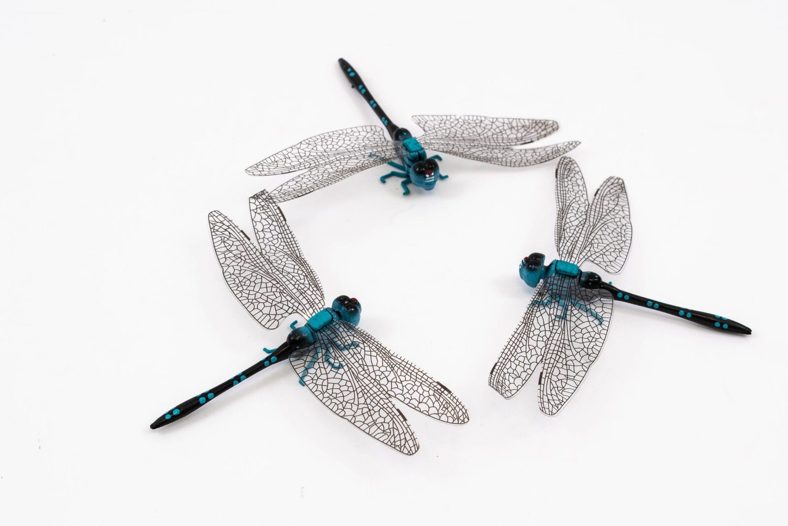 magnet-pentru-frigider-libelula-albastru-24set