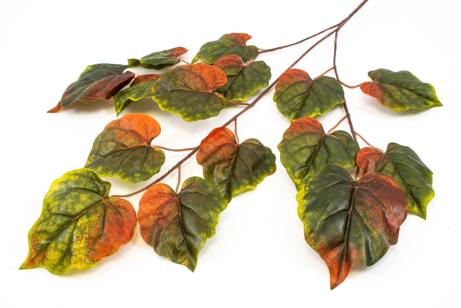 crengi-12set-frunze-plop-verde-maro