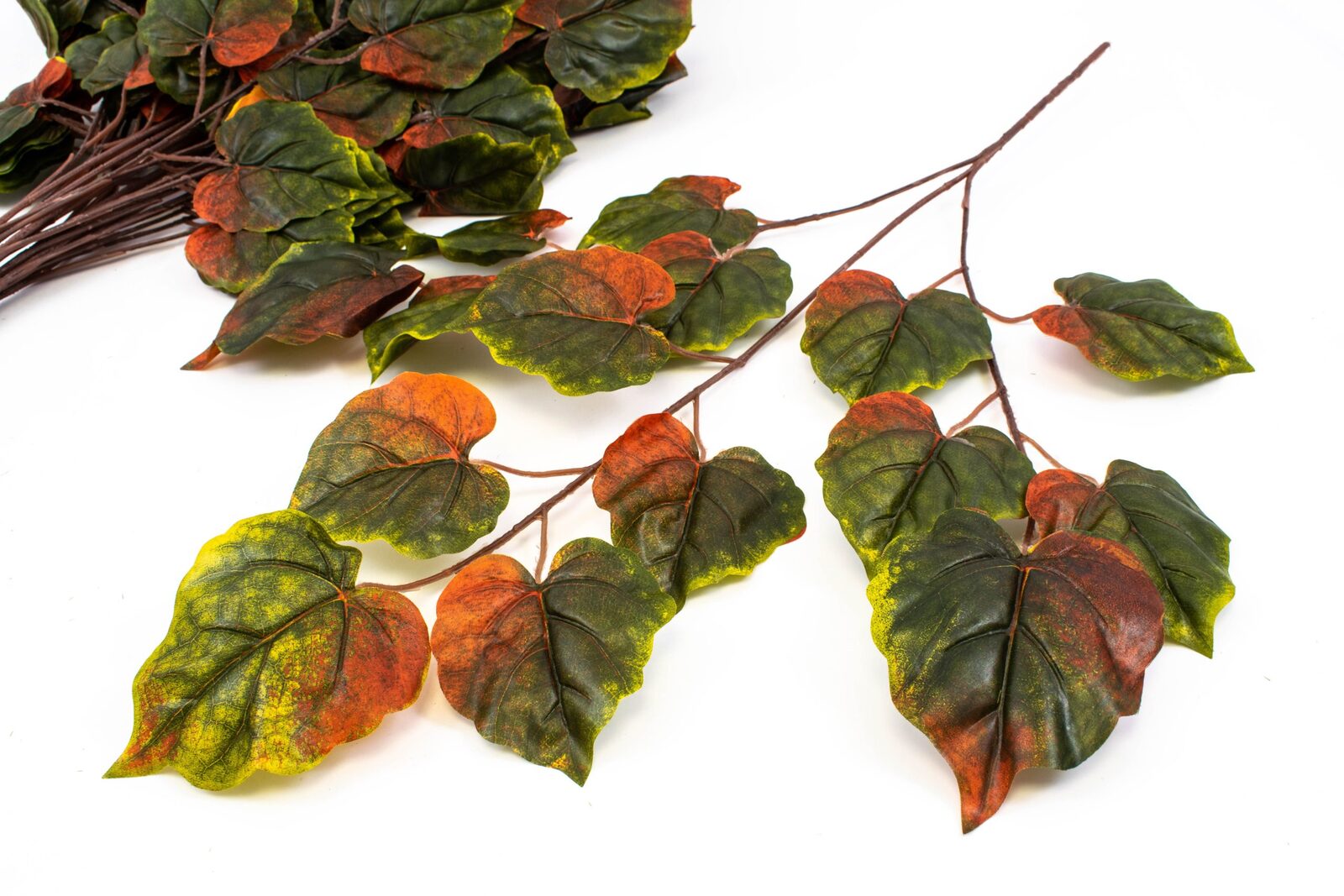 crengi-12set-frunze-plop-verde-maro