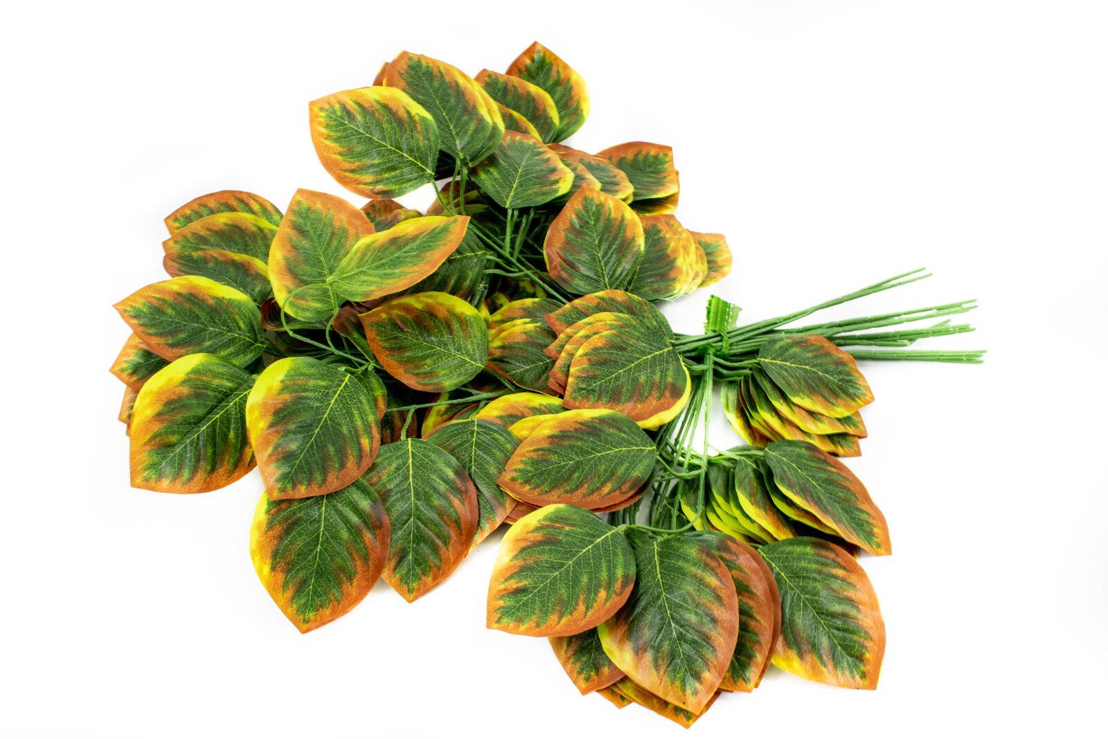 crengi-12set-frunze-ovale-verde-margini-galben