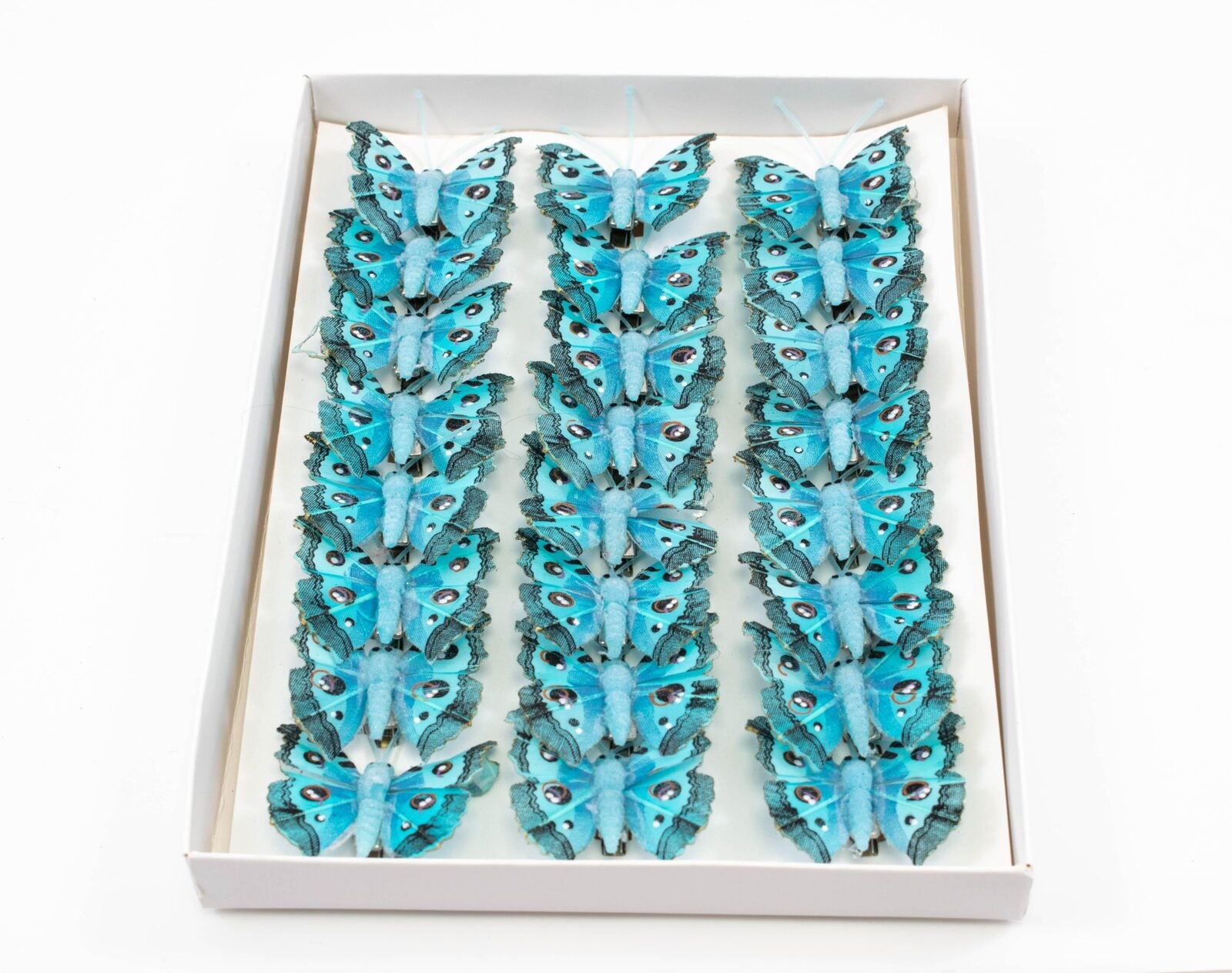 fluturi-pene-24set-dantelat-bleo-turcoz