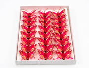 fluturi-pene-24set-rosu-ciclam-001