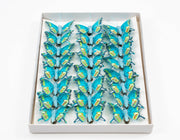 fluturi-pene-24set-turcoaz