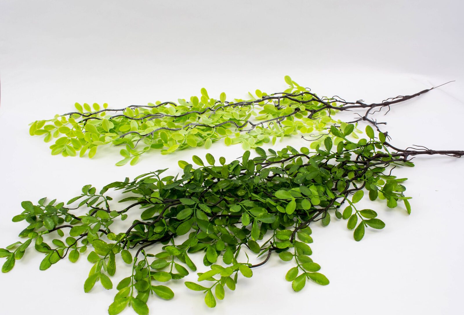 buchet-frunze-salcam-2set