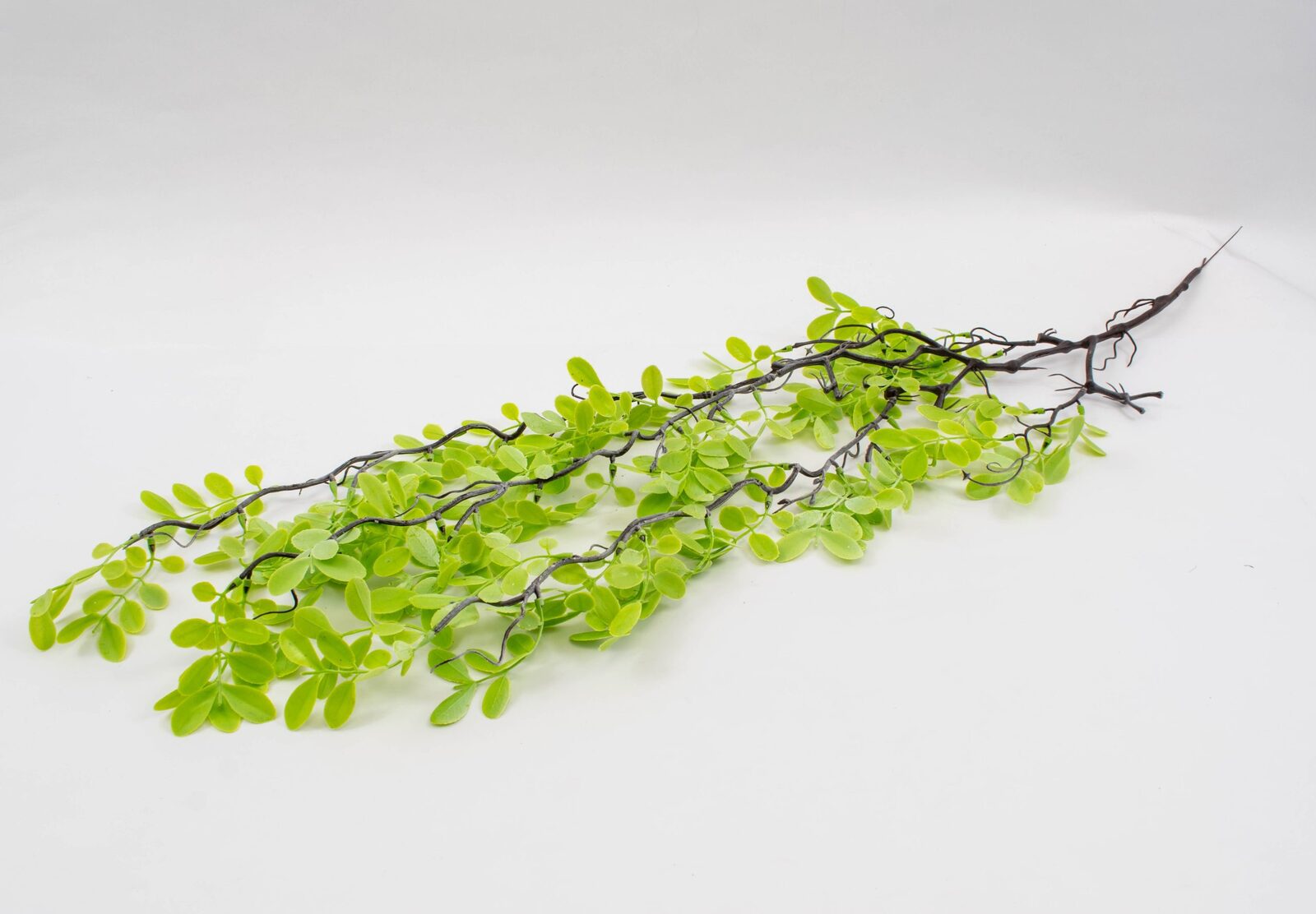 buchet-frunze-salcam-2set