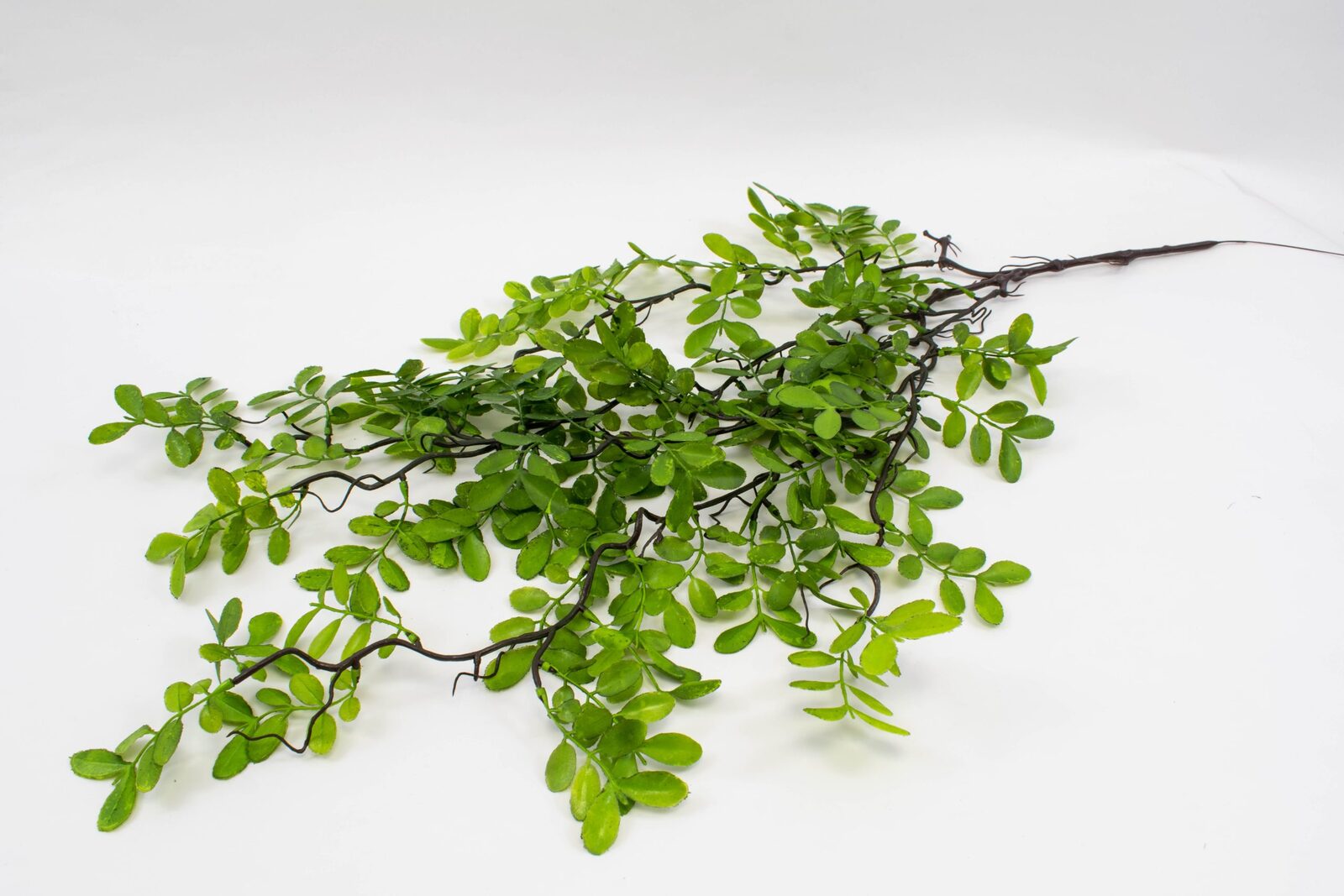 buchet-frunze-salcam-2set