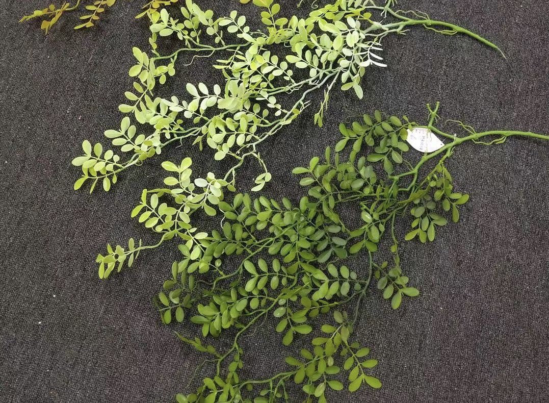 buchet-frunze-salcam-2set