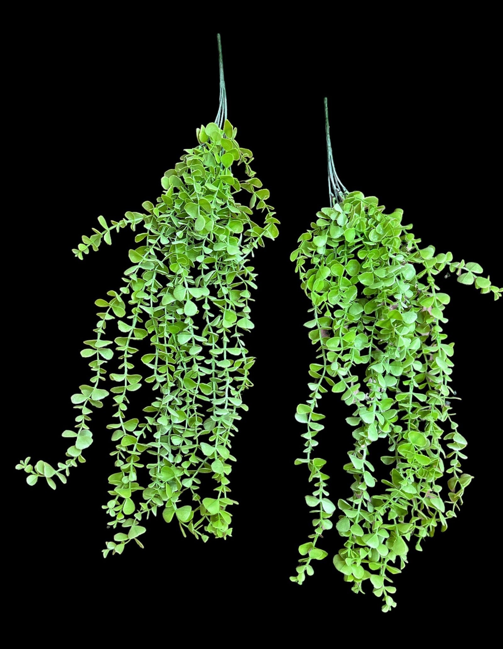 buchet-frunzulite-mari-si-mici-2set