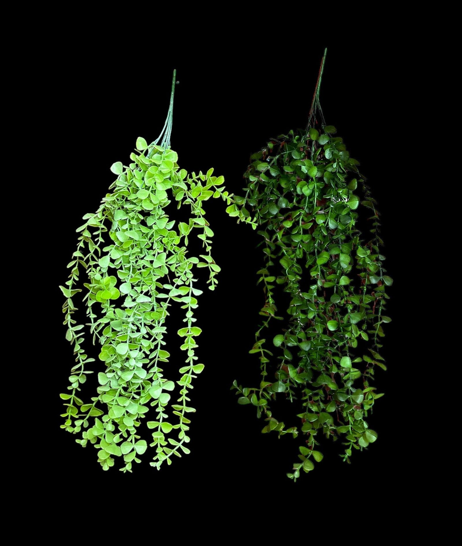 buchet-frunzulite-mari-si-mici-2set