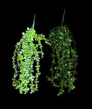 buchet-frunzulite-mari-si-mici-2set